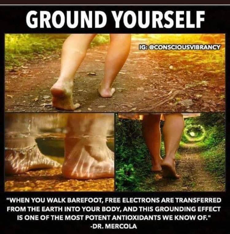 Have You Grounded Today?